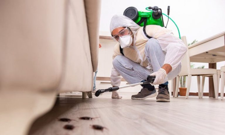 pest control beneficial for children