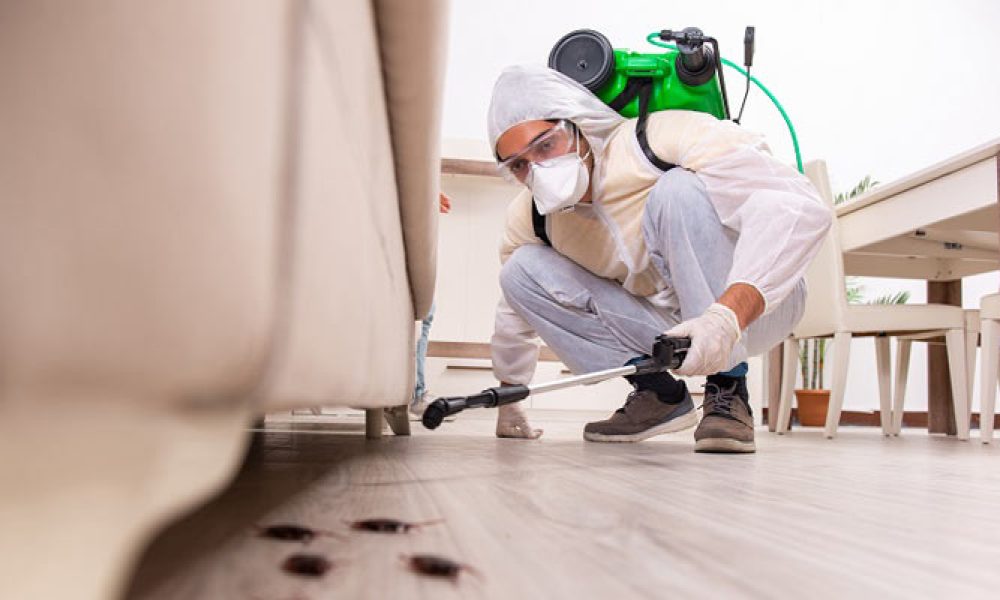 pest control beneficial for children