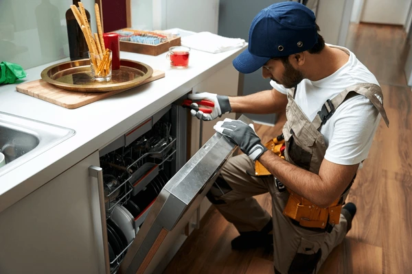 Appliance Maintenance