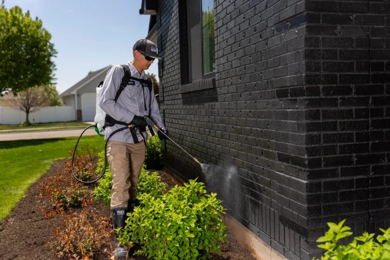Mastering the Art of Bug Spraying: Techniques for a Pest-Free Home