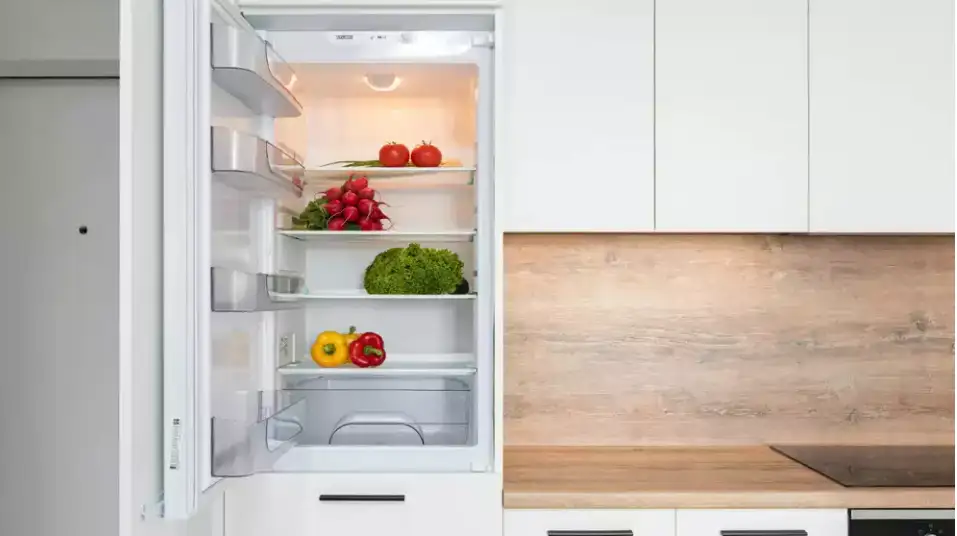 The Cold Truth How Fridge Breakdowns Expose Singapore's Consumer Protection Gaps
